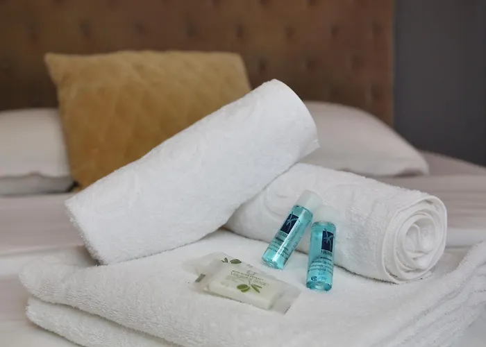 Service - En Face Du Musee - 5 * Paris