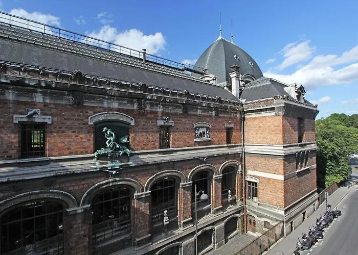 Service - En Face Du Musee - 5 Daire Paris